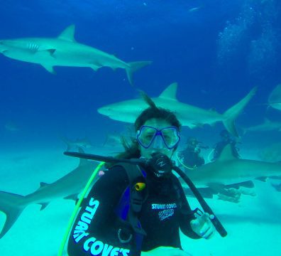 A person in scuba gear with several sharks swimming around.