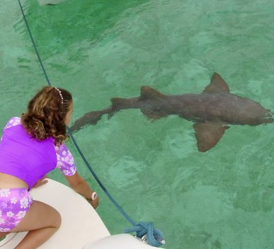 A woman is on the boat looking at a shark.