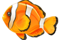 A cartoon of an orange and white clown fish.